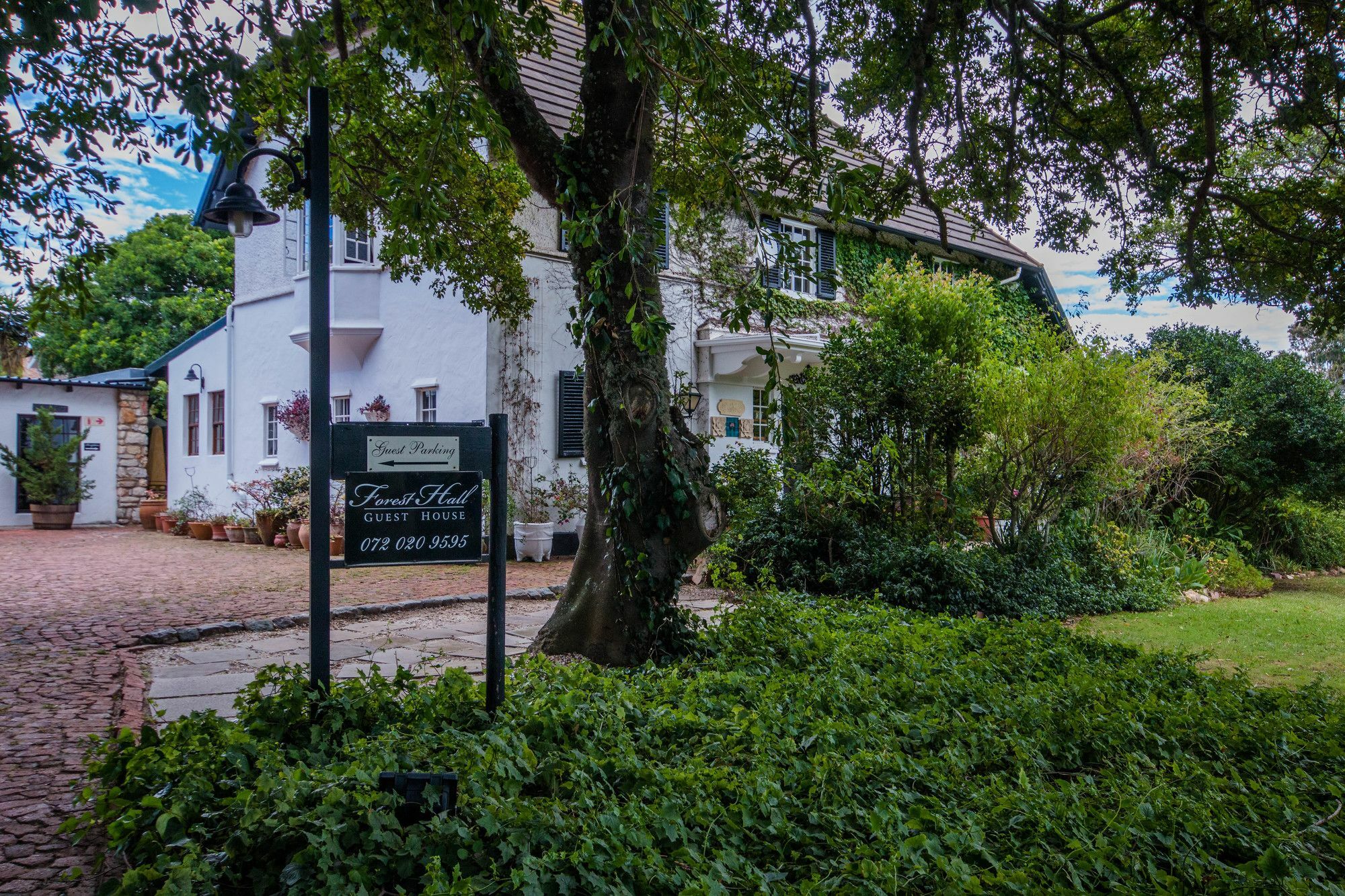 פורט אליזבת' Forest Hall Guest House מראה חיצוני תמונה